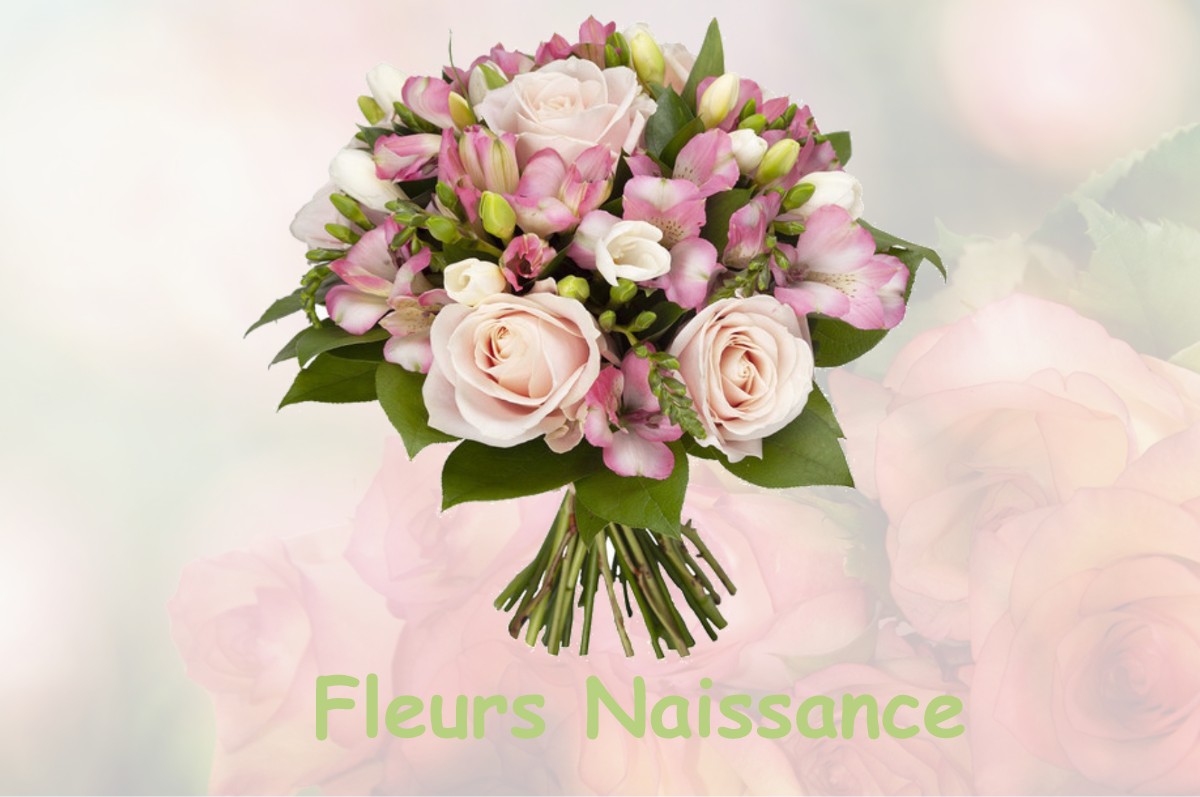 fleurs naissance NEUVY-DEUX-CLOCHERS